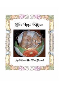 Lost Kitten And How He Was Found