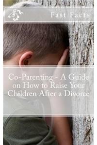 Co-Parenting - A Guide on How to Raise Your Children After a Divorce