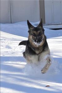 German Shepherd in Snow Journal