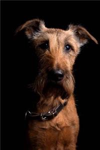 The Irish Terrier Dog Journal