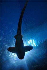 Silhouette of a Hammerhead Shark Journal