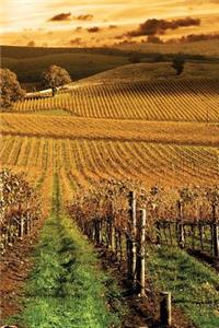 Autumn Vineyard Journal