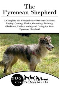 The Pyrenean Shepherd