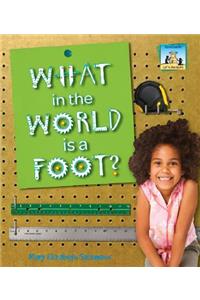 What in the World Is a Foot?