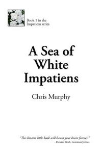 A Sea of White Impatiens