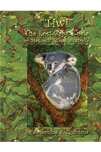 Tiwi, the Lost Baby Koala of Magnetic Island, Australia