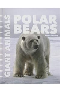 Polar Bears