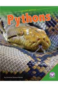 Pythons