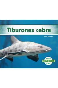 Tiburones Cebra (Zebra Sharks)