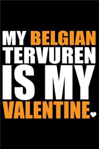 My Belgian Tervuren Is My Valentine