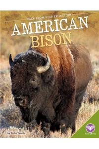 American Bison