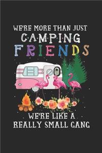 We're More Than Just Camping Friends we're like a really small gang