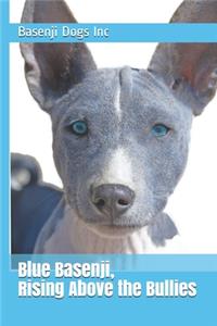 Blue Basenji, Rising Above the Bullies