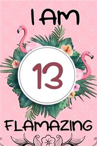 I Am 13 Flamazing