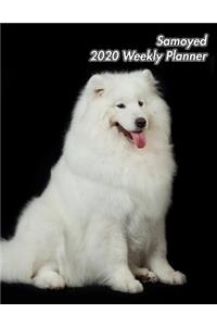 Samoyed 2020 Weekly Planner
