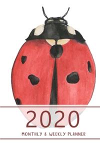 2020 Monthly & Weekly Planner