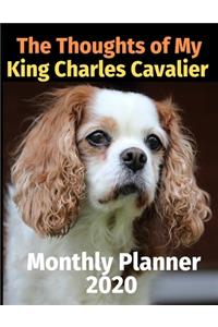 The Thoughts of My King Charles Cavalier