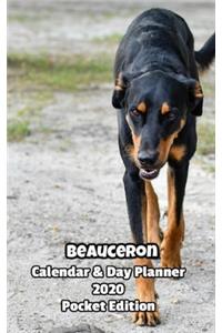 Beauceron Calendar & Day Planner 2020 Pocket Edition