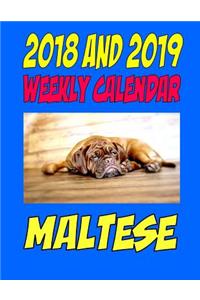 2018 and 2019 Wall Calendar Maltese