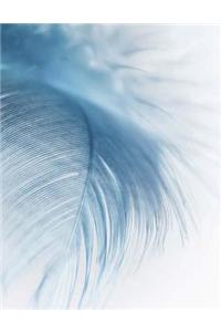 Feather Feathers Blue Blues Fly Featherweight Fluffy Angel Angels Flight Flying