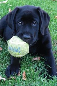 Black Lab Puppy Planner