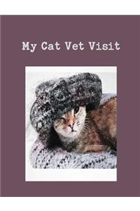 My Cat Vet Visit