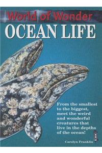Ocean Life