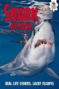 Shark! Shark Attack
