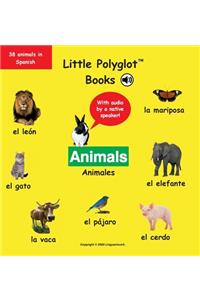 Animals/Animales