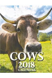 Cows 2018 Calendar (UK Edition)