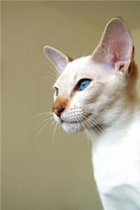 Flame Point Siamese Cat Journal