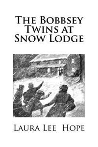 The Bobbsey Twins at Snow Lodge