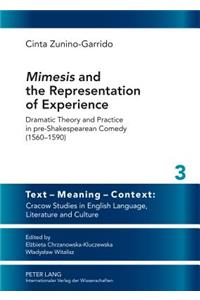 «Mimesis» and the Representation of Experience