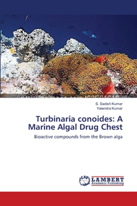 Turbinaria conoides