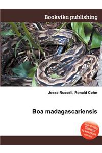 Boa Madagascariensis