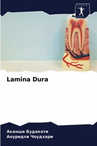 Lamina Dura