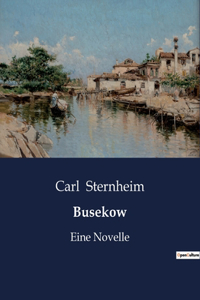 Busekow