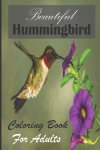 Beautiful Hummingbird Coloring Book For Adults