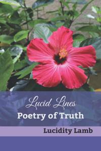 Lucid Lines