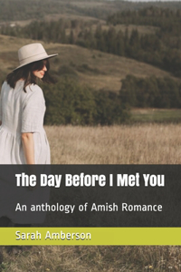 The Day Before I Met You