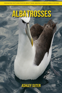Albatrosses
