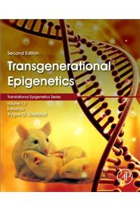 Transgenerational Epigenetics