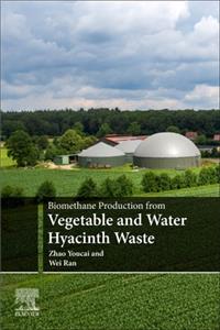 Biomethane Production from Vegetable and Water Hyacinth Waste