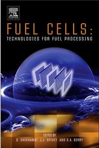 Fuel Cells: Technologies for Fuel Processing