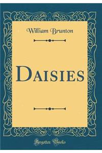 Daisies (Classic Reprint)