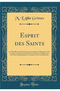 Esprit des Saints: Les Plus Illustres Parmi les Auteurs Ascétiques Et Moralistes; Non Compris au Nombre des Pères Et des Docteurs de l'Église Avec des Notices Biographiques Et Littèraires Trésor de Spiritualité (Classic Reprint)