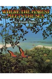Where the Forest Meets the Sea