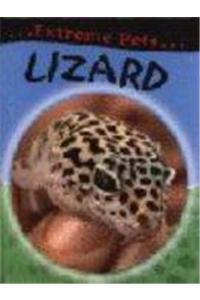 Lizard