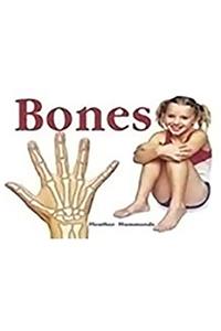 Rigby Focus Early Fluency: Leveled Reader Bookroom Package Nonfiction (Levels I-N) Bones