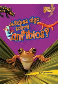 ¿Sabes algo sobre anfibios? (Do You Know about Amphibians?)